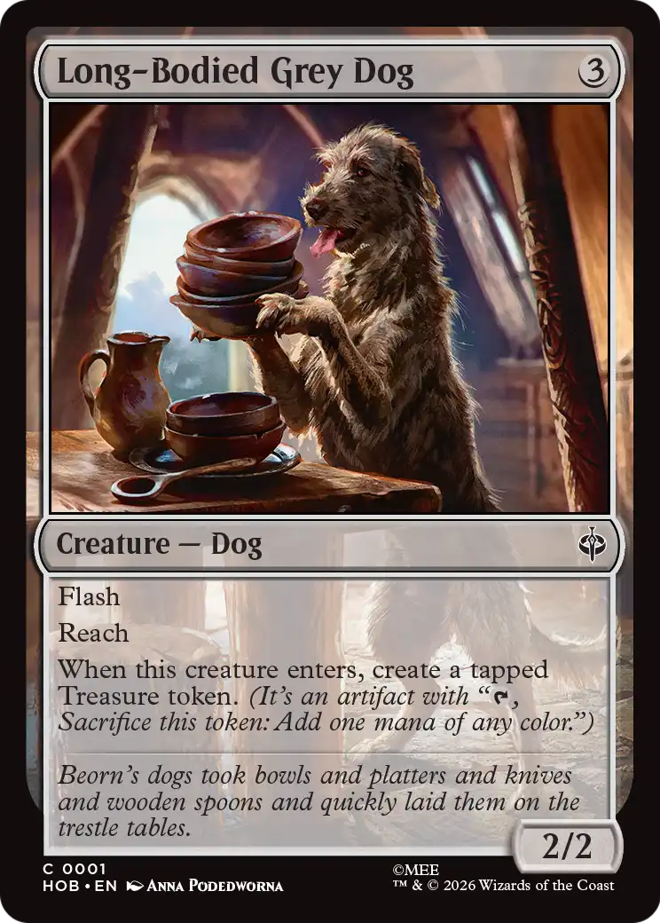 Long-Bodied Grey Dog