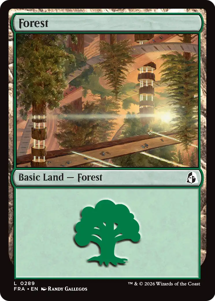 Forest — 1/2