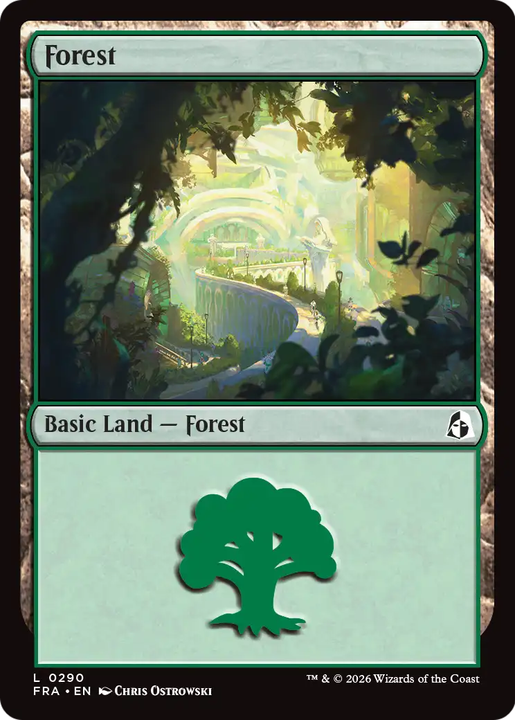 Forest — 1/2