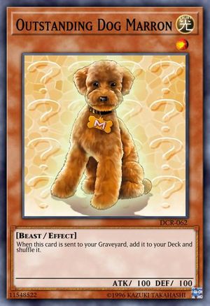 Outstanding Dog Marron